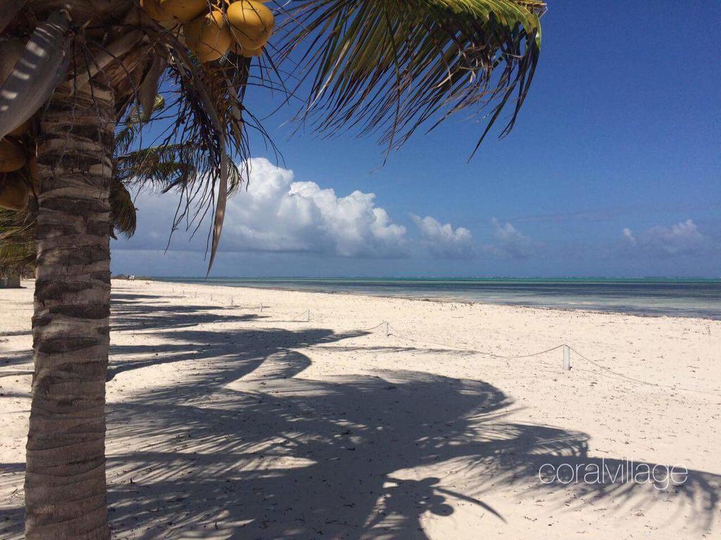 Coral Village Malindi Luaran gambar